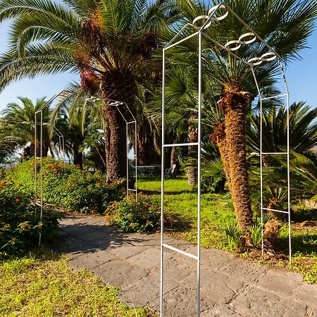 Viuli Bed & Breakfast 3*